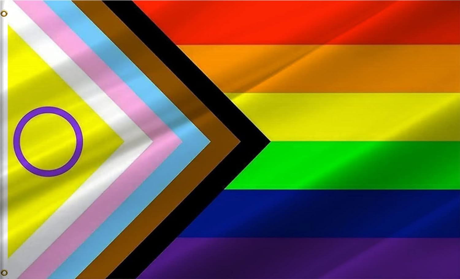 A picture of the progress pride flag. 